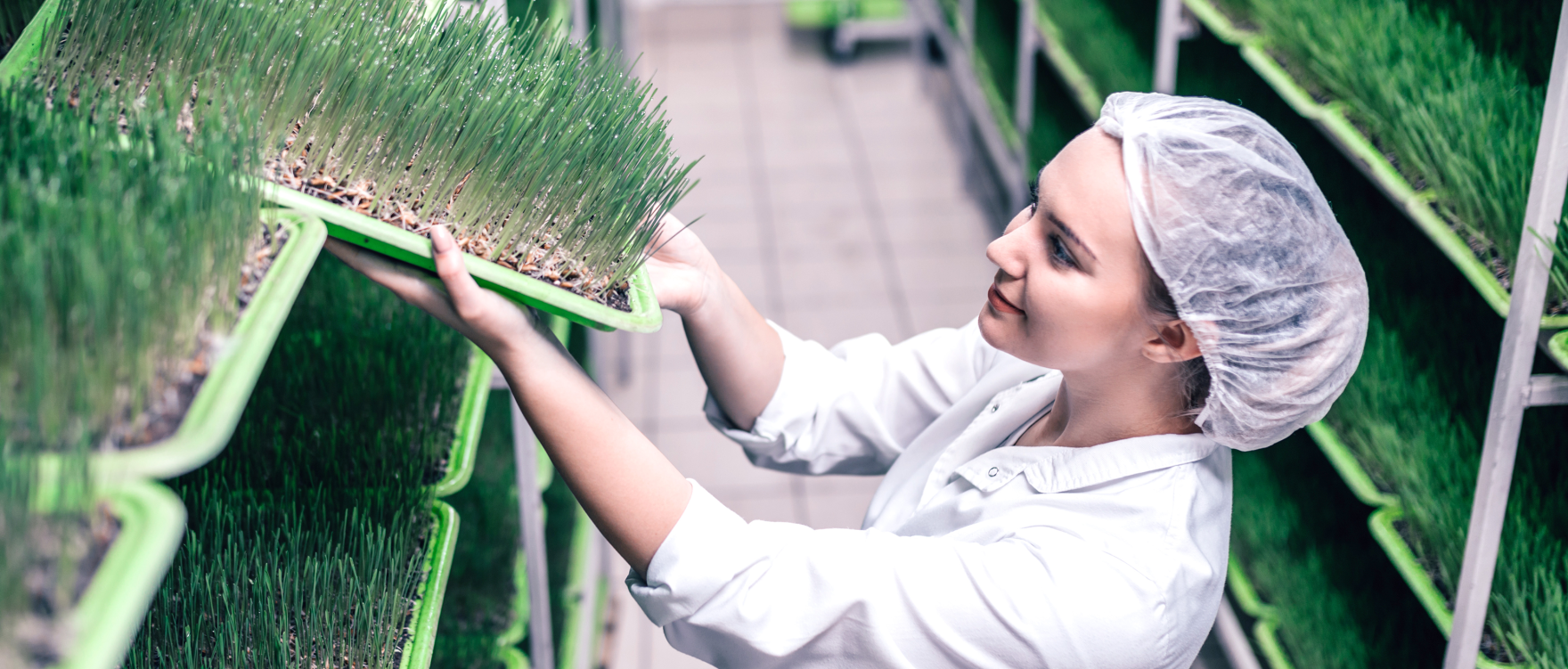 InFamily Foods Header